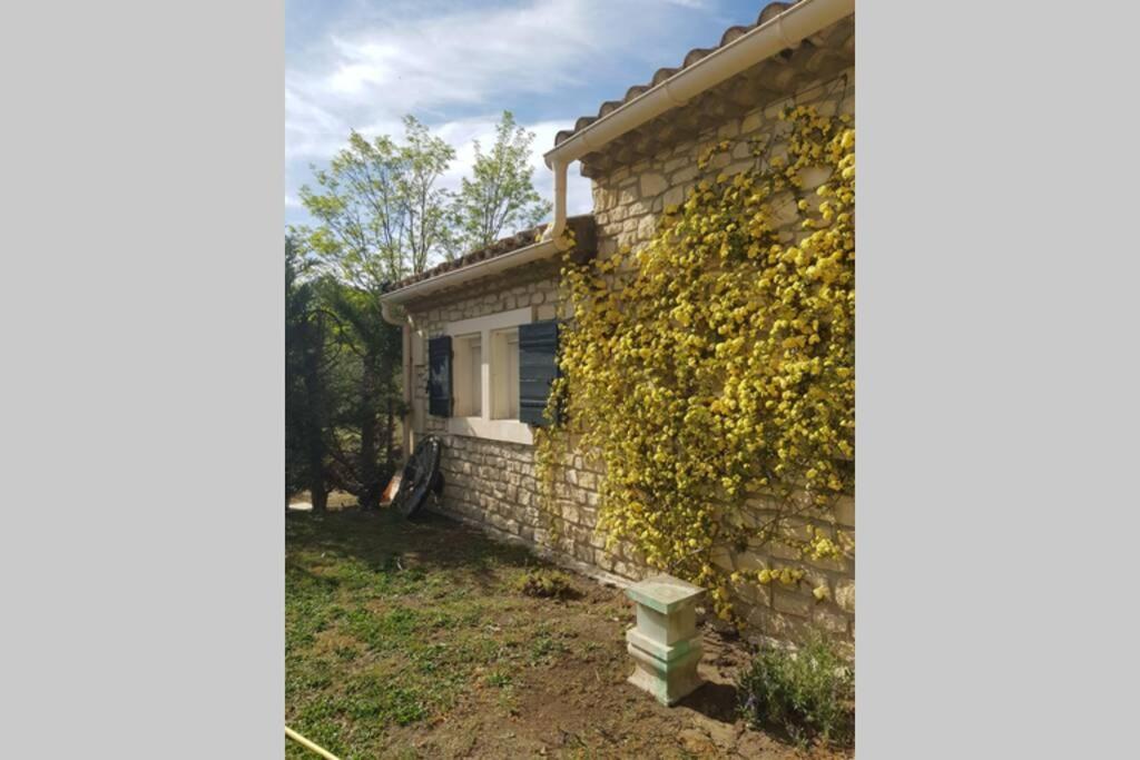 Appartement 2 Pers Avec Acces Piscine Saint-Remy-de-Provence Exterior photo